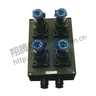 BXX8050系列防爆防腐電源插座箱（ⅡC）