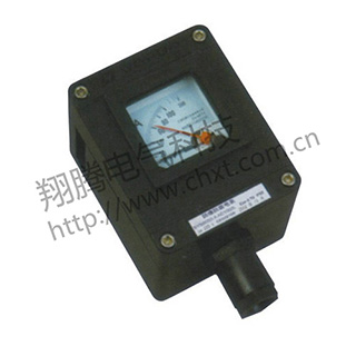 BYB8050系列防爆防腐電表（ⅡC）