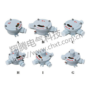 BHD51（AH）系列防爆接線盒（ⅡB、ⅡC、e） 