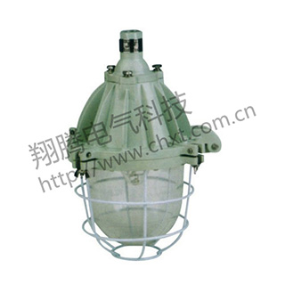 BAD51系列隔爆型防爆燈（ⅡB）