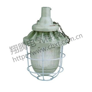 BAD56系列隔爆型防爆燈（ⅡC）