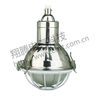 BAD56-系列防爆防腐燈（不銹鋼）（e、n）