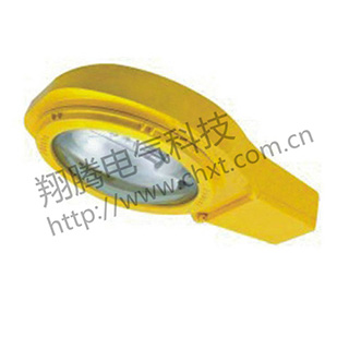 BLC9610系列防爆道路燈