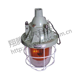 BJD系列防爆警示燈（ⅡB）