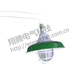 BAM52系列防爆馬路燈（ⅡB、ⅡC、e）