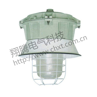 BAFD系列增安型防爆防腐燈（e）