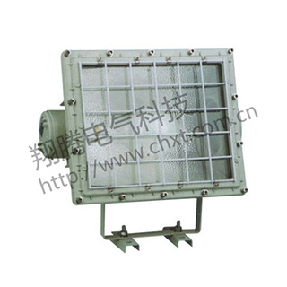 BAT52系列防爆泛光燈（ⅡB、ⅡC）