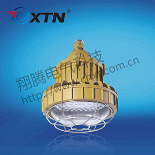 BAD8620防爆免維護(hù)節(jié)能燈(LED)